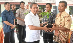 Pemkab. Madiun Canangkan Gerakan Tanam Cabai