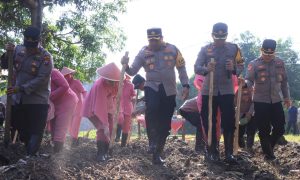 Dukung Program ‘Asta Cita’ Presiden RI, Kapolres Madiun Tanam Jagung