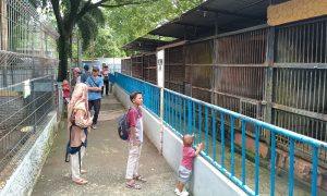 Libur Nataru, Pengunjung Asyik Nikmati Kearifan Lokal Wisata Umbul