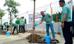 Hari Sejuta Pohon, KAI Daop 7 Madiun Ciptakan Lingkungan yang Sehat
