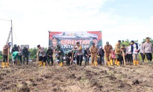Swasembada Pangan, Polres Madiun Tanam Benih Jagung Bhayangkara