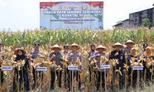 Kapolres Madiun Bersama Petani Panen Raya Jagung Serentak Sekaligus Salurkan Bansos